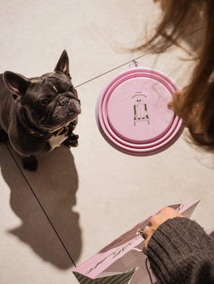 Dog Bowls
